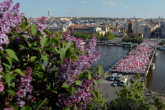 Fans of SK Slavia Praha