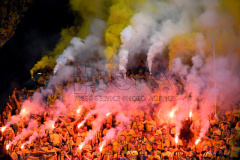 Fans of Dynamo Dresden