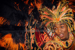 People in costumes celebrate New Year's Day 2024